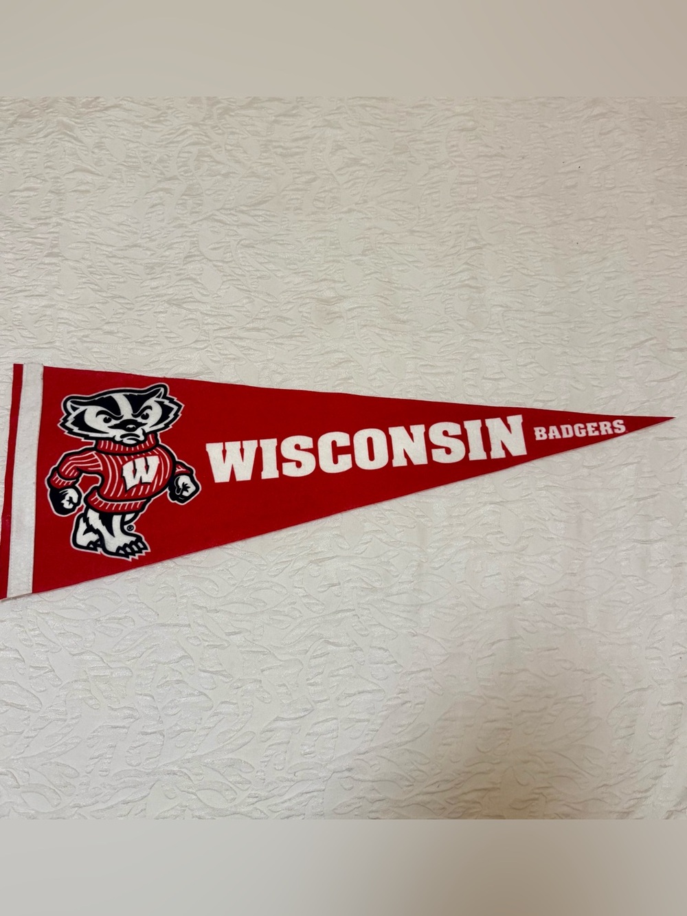 UW Madison Badgers 12 in X 30 in Bucky Badger Logo Pennant